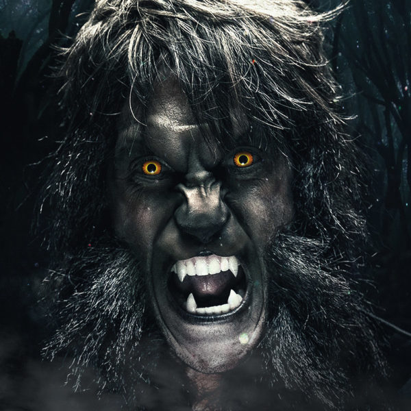 Orange Werewolf – Image 2
